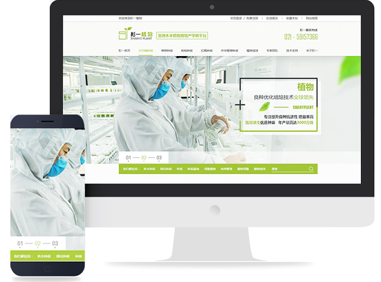 網(wǎng)站建設(shè) 打造高效、美觀的在線平臺